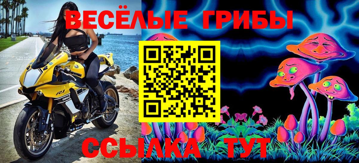 Галлюциногенные грибы Cubensis  Вход с VPN  Галлюциногенные грибы Cubensis  Котельники 