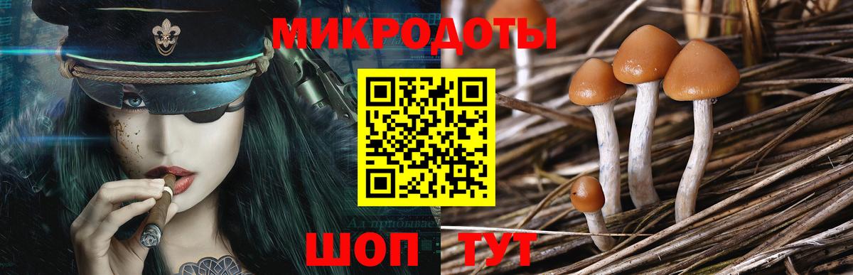 Псилоцибиновые грибы MAGIC MUSHROOMS Котельники